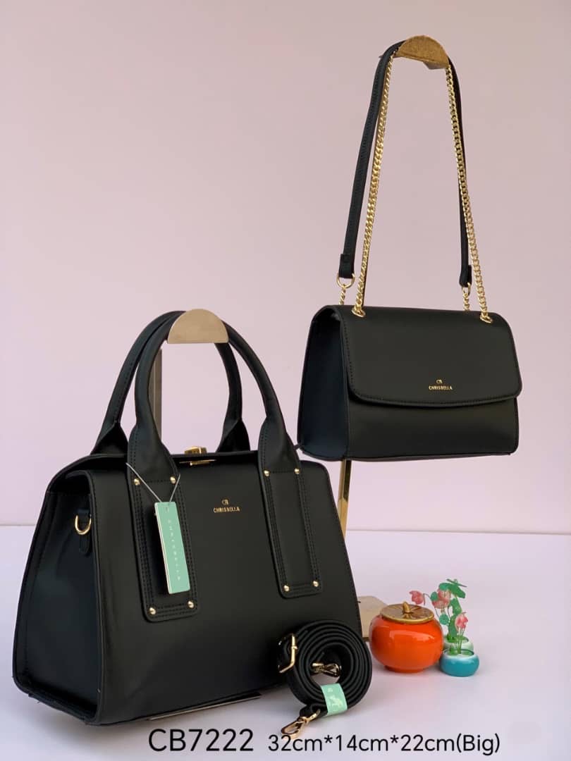 Female Hand and Shoulder bag