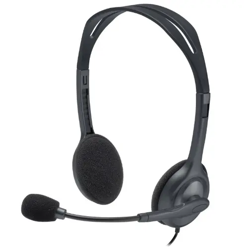 Logitech H110 Stereo Headset.